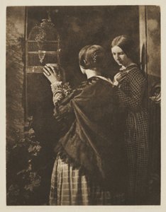 The Bird Cage by David Octavius Hill