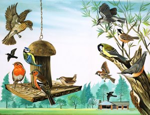 All Sorts of Birds Around the Garden Table, illustration from 