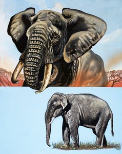 All Sorts of Elephants by David Pratt