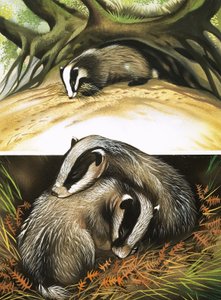 Mr and Mrs Badger at Home by David Pratt