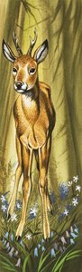 The Roe Deer by David Pratt