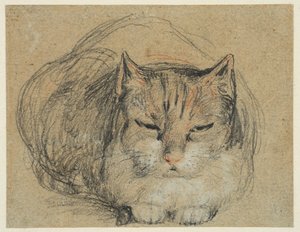 Cat, study for 
