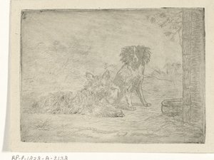 Two Dogs