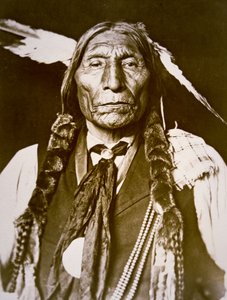 Wolf Robe (b.1841) 1909