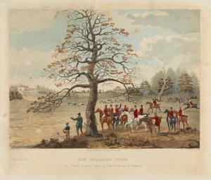 Fox Breaking Cover at Upper Gatton Seat of the Duke of St. Alban