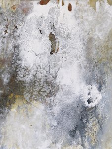 Aged Patina Canvas by Deb Chaney