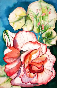 Begonia by Deborah Eve Alastra
