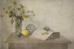 Timeless Still Life