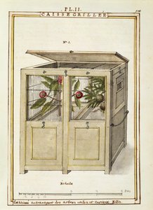 Chest for plant transport, watercolour by Delahaye by Delahaye Delahaye