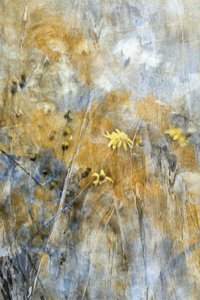 Abstract Meadow Flowers