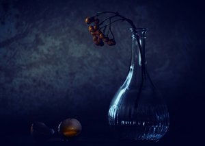 Broken Egg Still Life by Delphine Devos