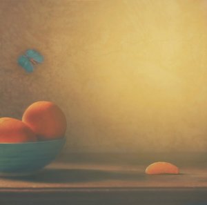 Citrus Bowl And Butterfly by Delphine Devos