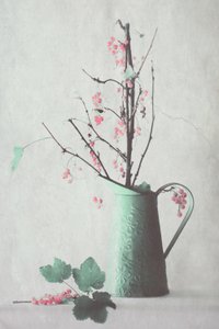 Delicate Berry Still Life