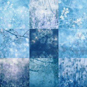 Dreamy Blue Botanicals by Delphine Devos
