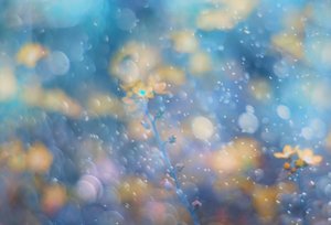 Dreamy Blue Floral Sparkle by Delphine Devos