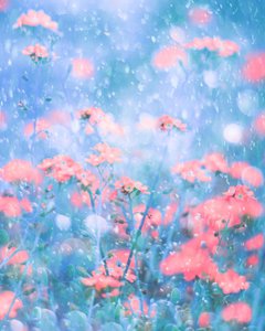 Dreamy Pink Blooms by Delphine Devos