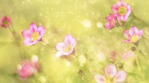 Dreamy Pink Flowers by Delphine Devos