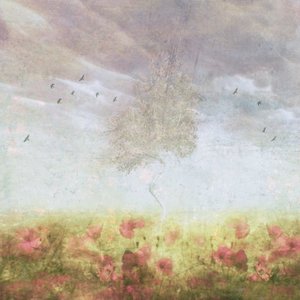 Dreamy Poppy Field Tree