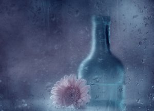 Dreamy Rainy Gerbera by Delphine Devos