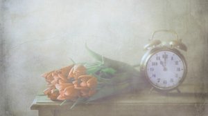 Dreamy Tulips and Time
