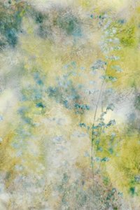 Dreamy Watercolor Flowers