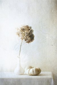 Dried Hydrangea Pumpkin Still Life by Delphine Devos