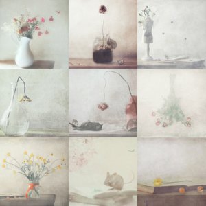 Ephemeral Still Life