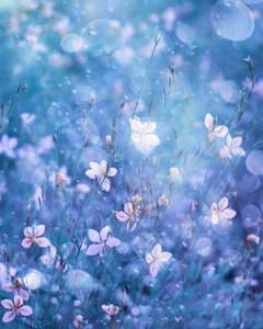Ethereal Blue Blooms by Delphine Devos