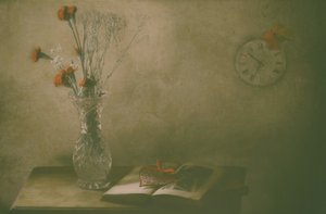 Faded Flowers And Time by Delphine Devos