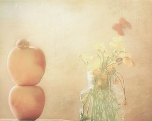 Gentle Snail and Butterfly by Delphine Devos