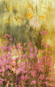 Golden Meadow Butterflies