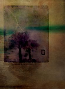 Lightning Over Dark Trees by Delphine Devos