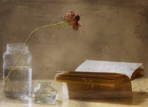 Melancholy Bloom and Book by Delphine Devos