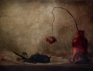 Melancholy Still Life by Delphine Devos