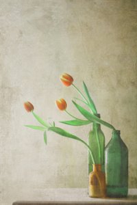Orange Tulips in Bottles by Delphine Devos