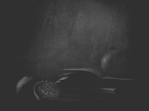 Pomegranates in Shadow by Delphine Devos