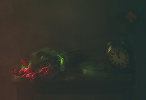Red Tulips and Time by Delphine Devos
