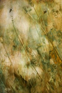 Rustic Lavender Field