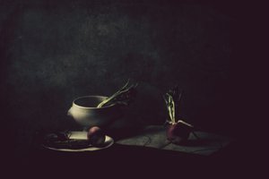 Rustic Radishes Still Life by Delphine Devos