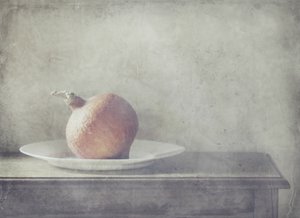 Rustic Squash Still Life