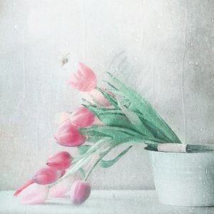 Soft Pink Tulips Rain by Delphine Devos