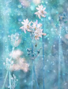 Sparkling Blue Flowers