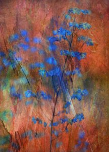 Textured Blue Floral Dream