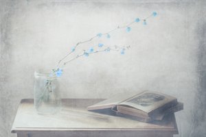 Vintage Book and Blue Flowers by Delphine Devos