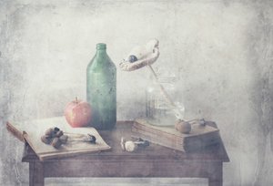 Vintage Still Life Arrangement by Delphine Devos