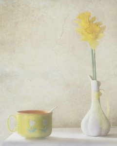 Yellow Daffodil Still Life