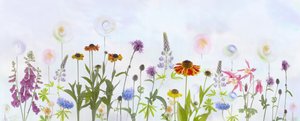 Dreamy Colorful Garden