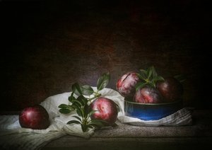 Moody Plums Still Life