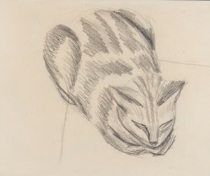 Sleeping Cat