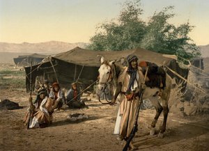 Bedouins and their Tents, Holy Land by Detroit Photographic Co.